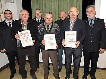 Die geehrten Mitglieder der FFW Wimmelbach (v. l.): Herbert Händel, Franz Hammerl und Josef Lindenberger mit Vorsitzendem Dieter Sawinsky (r.), seinem Stellvertreter Sebastian Trautner (l.), Drittem Bürgermeister Dieter Gößwein (3. v. r.) und Kreisbrandinspektor Rainer Therjan (3. v. l.) Foto: Mathias Erlwein