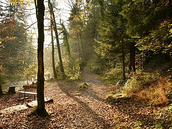 Wetter in Franken: Am Wochenende profitieren wir erneut von einer Hochdrucklage