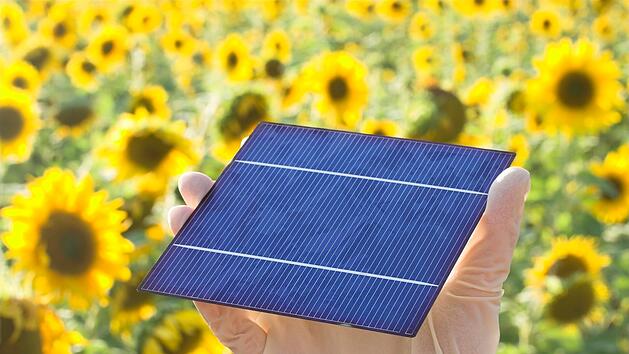 Bamberg/Forchheim: Windrad mit USB-Anschluss oder Solarzelle - 33 Schüler mit 20 Projekten bei Jugend forscht dabei