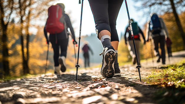 Sport, Walking, Herbst