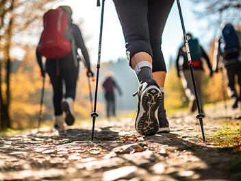 Sport, Walking, Herbst