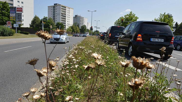 So kennen die Bamberger die Grünstreifen am Berliner Ring. Vor allem im Norden blüht es derzeit in vielen Farben.  Fotos: Ronald Rinklef
