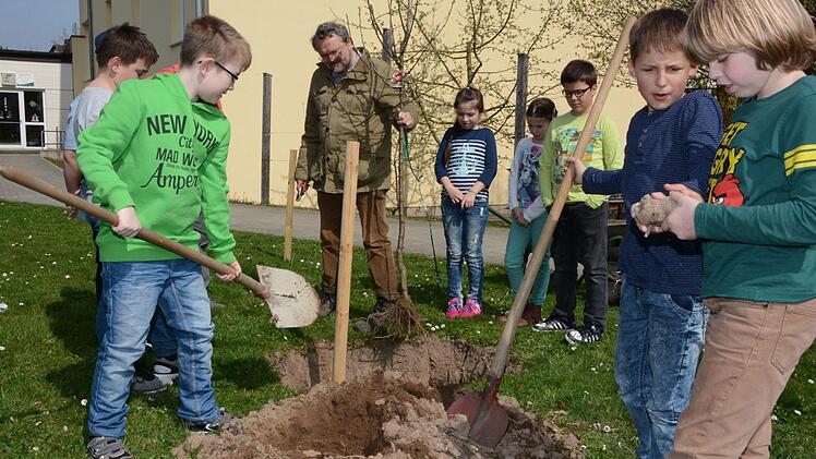 Impressionen vom Obstbaum-Pflanztag an der Grundschule Melkendorf  Foto: Dagmar Besand