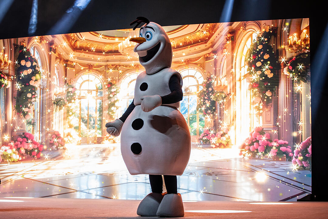 Märchenhafte Magie für alle Elsa, Anna und Olaf Fans!