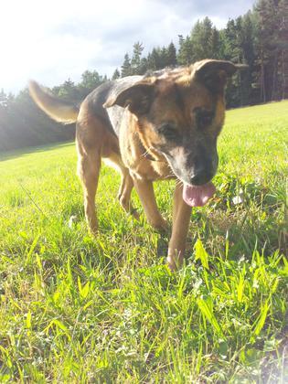 Foto: anjag92