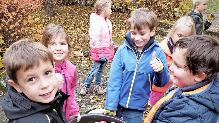 Apfelernte auf Salem: Die Grundschüler der Kombiklasse 1 und 2 hatten sichtlich ihren Spaß dabei. Fotos: Werner Reißaus