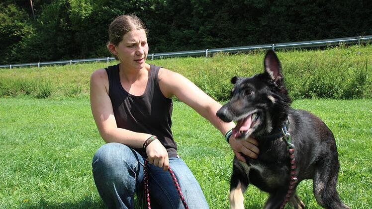 Schäferhündin Sofie beim Gassigehen.