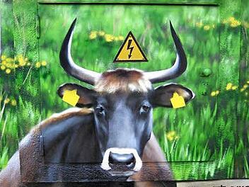 Ein Hingucker: das künstlerisch gestaltete Trafohäuschen am Walsdorfer Ortseingang Foto: Dieter Grams