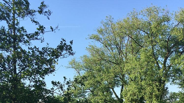 Lippstadt: Der Grüne Winkel Foto: Schreiber