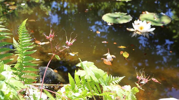 Impressionen aus Carmen Kunerts Gartenatelier in Thurnau. Foto: Barbara Herbst