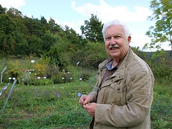 Walter Hartmann hat den Garten am Sinnberg für den Bund Naturschutz  mit aufgebaut. Etwa 400 Pflanzen gedeihen hier. Ein großer Anteil  davon sind geschützte Arten, die extra ausgesät wurden, um sie zu erhalten. Der Garten ist öffentlich und besteht schon seit 30 Jahren.K. Kupka-Hahn