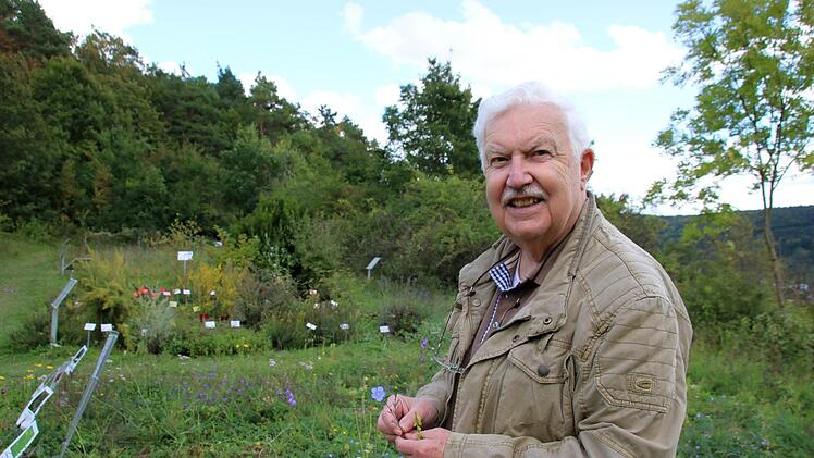 Walter Hartmann hat den Garten am Sinnberg für den Bund Naturschutz  mit aufgebaut. Etwa 400 Pflanzen gedeihen hier. Ein großer Anteil  davon sind geschützte Arten, die extra ausgesät wurden, um sie zu erhalten. Der Garten ist öffentlich und besteht schon seit 30 Jahren.K. Kupka-Hahn
