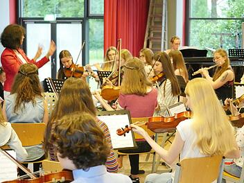 Das Schulorchester unter der Leitung von Barbara Lukat machte beim Sommerkonzert des Johann-Philipp-von-Schönborn-Gymnasiums den Anfang.  Foto: Tanja Sobisch
