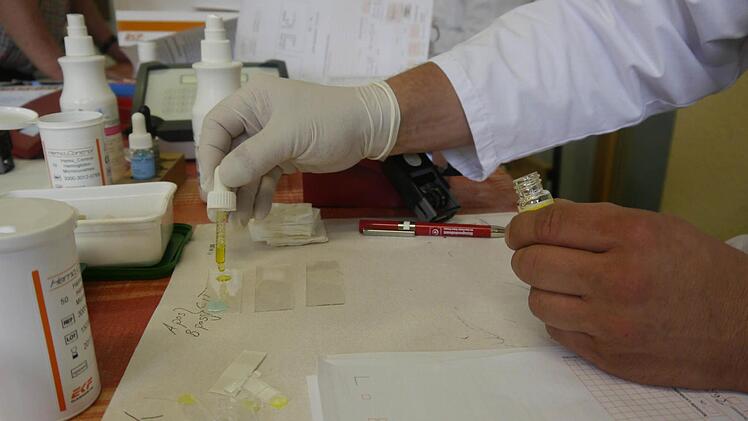 Im Schnelltest werden Blutgruppe und Eisenwert ermittelt.