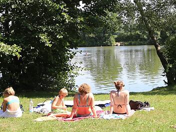 Der Baiersdorfer Badesee ist im Sommer ein beliebter Ort zum Schwimmen und Sonnen. Foto: Barbara Herbst/Archiv