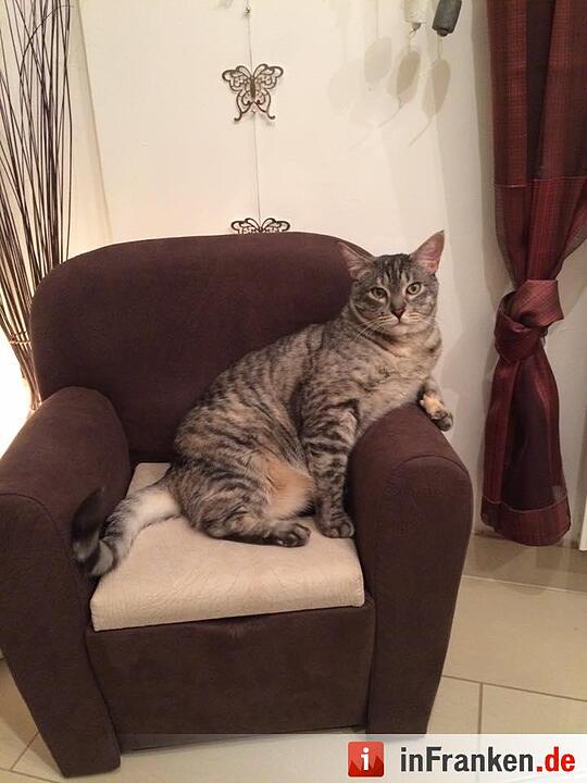 Foto: Nicole Kaesling