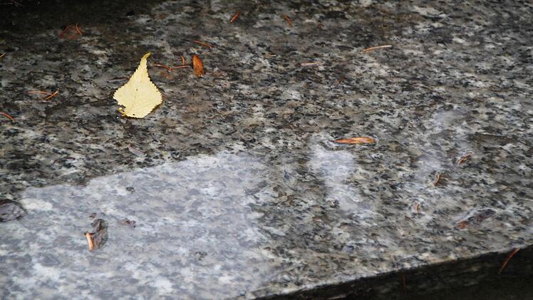 Ein Blick, zwei Perspektiven: Spiegelung auf einer regennassen Treppe. Foto: Ulrike Müller