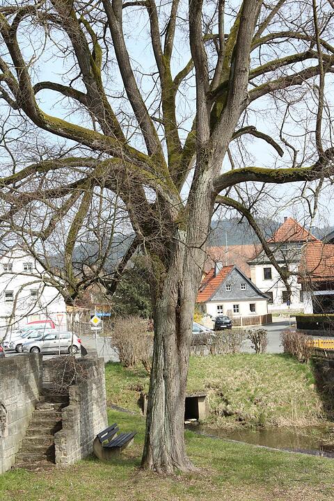 SoS Unterrodach im Lkr. KC; Foto: Barbara Herbst