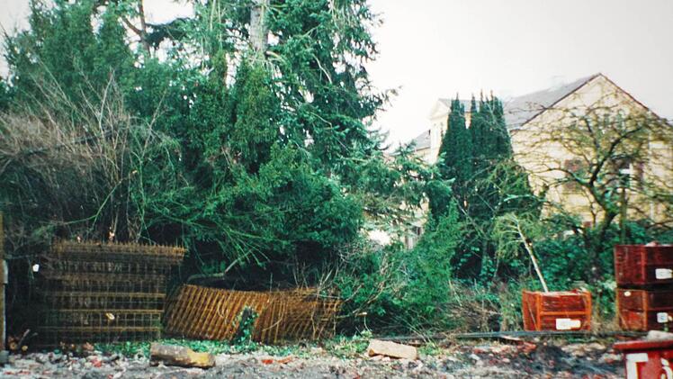 Der Garten, der zur "Eulenburg" gehörte, vor zehn Jahren Foto: Helga Brauner