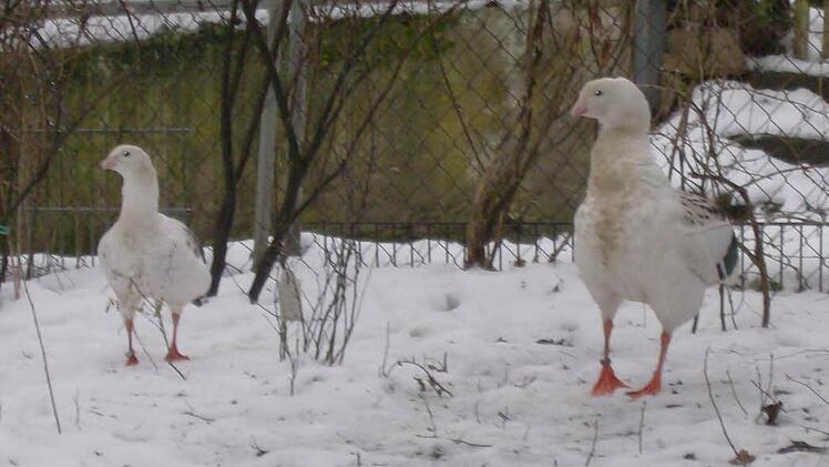 Foto: Petra Malbrich