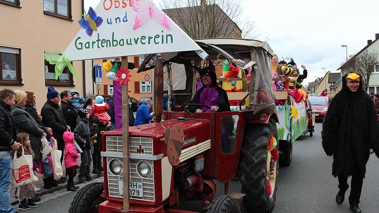 Der Faschingsumzug in Höchstadt war auch 2017 wieder sehr gut besucht. Foto: Christian Bauriedel