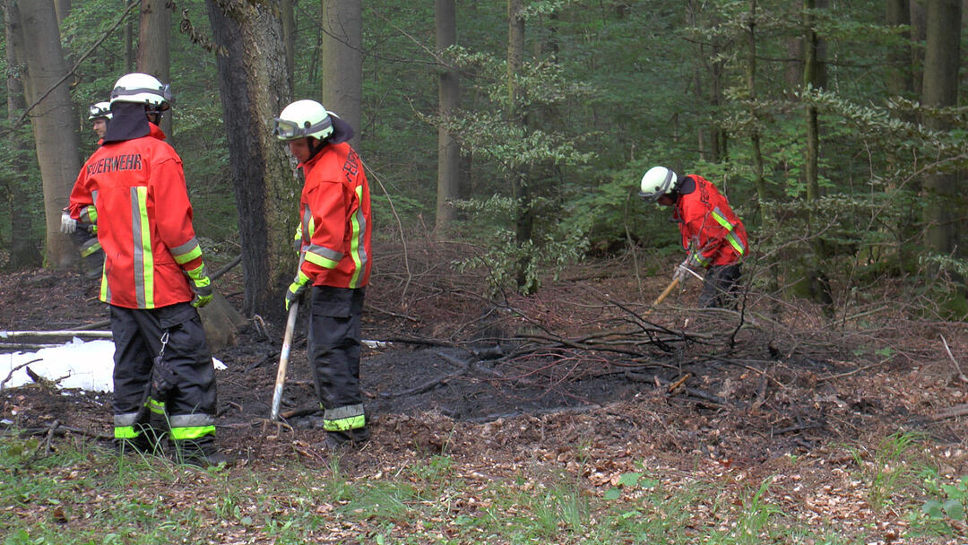 Nürnberg: Forstmaschine brennt - Waldbrand verhindert