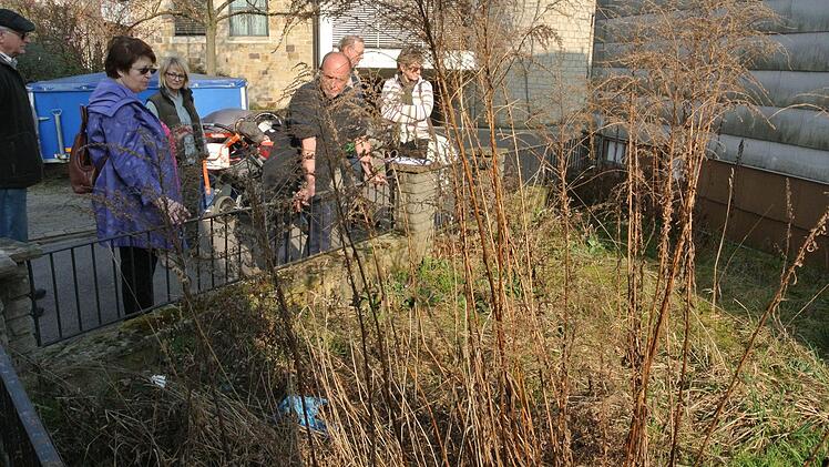 Aus dem Gestrüpp am Trafo-Häuschen soll ein Hexengarten werden.