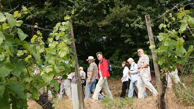 Weinbergwanderung der Saale Zeitung von Wirmsthal nach Wirmsthal 15. Juni 2014
