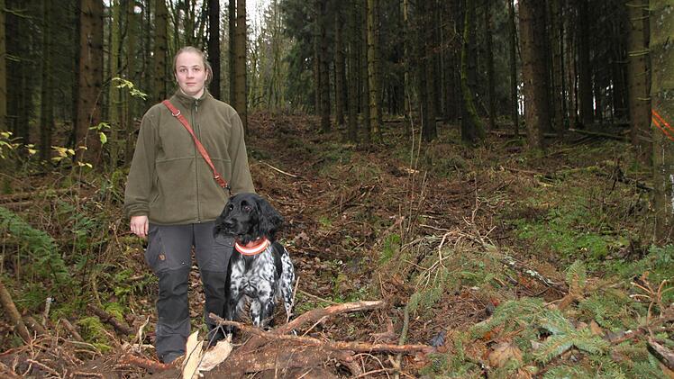 Anna Däullary streift mit ihrem Hund durch den Wald: Auf so einer Reisigschneise fahren die schweren Harvester.