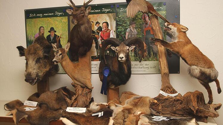 Auch zahlreiche Ausstellungen waren zu sehen.