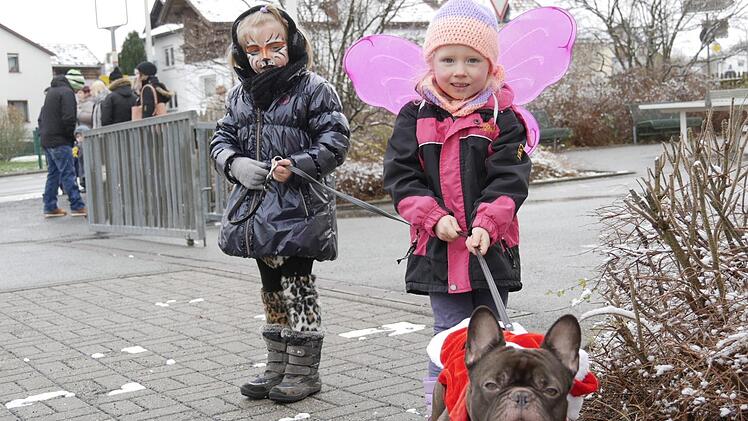 Süßes Kätzchen, Fee und Hund "Bruno" im Nikolauskostüm gehen gemeinsam zum Fasching. Foto: Manja von Nida
