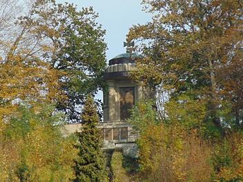 Im Wald beim Gräfenberger Kriegerdenkmal sind die Bäume von der Rußrindenkrankheit befallen. Foto: Petra Malbrich