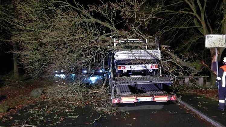 Die Feuerwehren Mitwitz und Horb waren mit insgesamt 20 Einsatzkräften vor Ort, um den Transporter von dem herabgefallenen Ast zu befreien. Foto: Matthias Weber