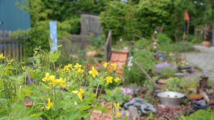 Magere Flächen sollen Pflanzenvielfalt Lebensraum bieten.Foto: Arkadius Guzy