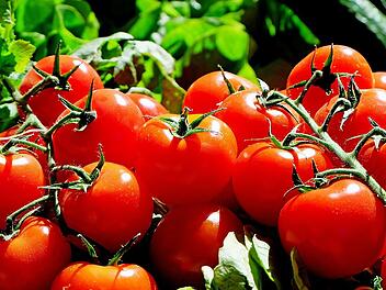 Tomaten im Fokus: Wie der tägliche Konsum deine Gesundheit beeinflusst.