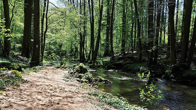Traumhafte Wanderungen in atemberaubender Natur: Das ist die Rhön