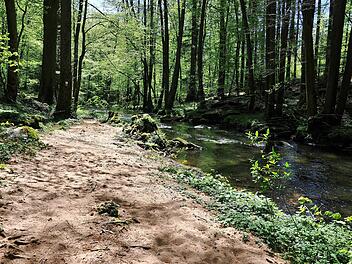 Traumhafte Wanderungen in atemberaubender Natur: Das ist die Rhön