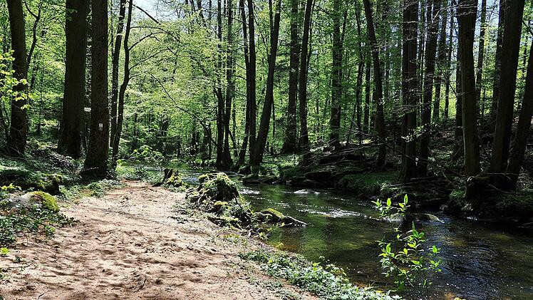 Die Wanderung führt durch eine Kernzone des Biosphärenreservats Rhön.