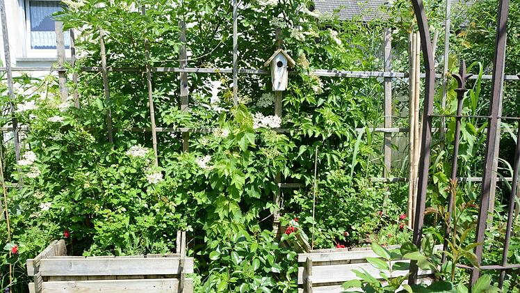 Impressionen aus dem Garten Michaelis in Schirradorf Foto: Dagmar Besand