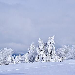 Urlaub in Franken: Rhön im Winter