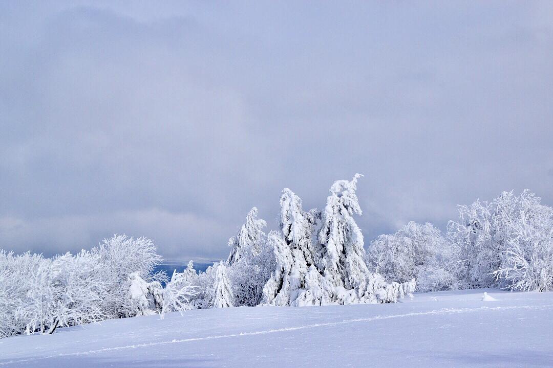 Urlaub in Franken: Rhön im Winter