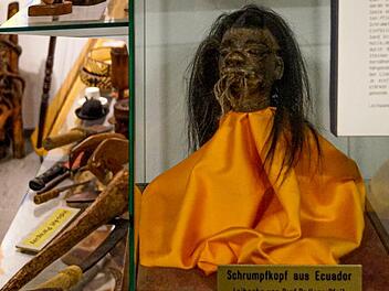 Professor Dr. Hans Pfeil hat diesen Schrumpfkopf aus Ecuador dem Missionsmuseum Bug als Leihgabe zur Verfügung gestellt.  Foto: Ramona Löffler