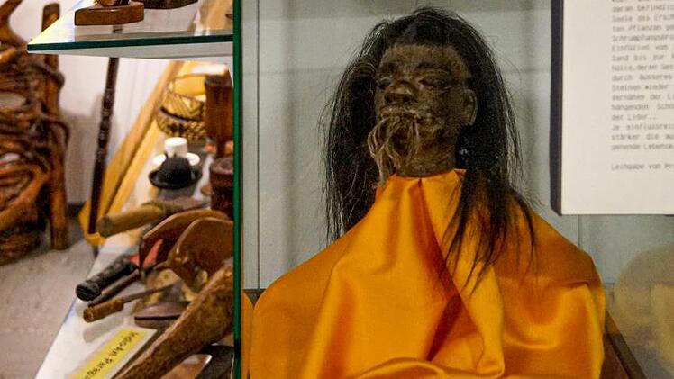 Professor Dr. Hans Pfeil hat diesen Schrumpfkopf aus Ecuador dem Missionsmuseum Bug als Leihgabe zur Verfügung gestellt.  Foto: Ramona Löffler