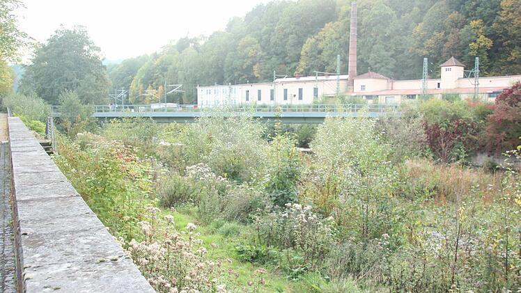 Die alte Bahnbrücke am LGS-Gelände soll gekauft werden.  Foto: Friedwald Schedel