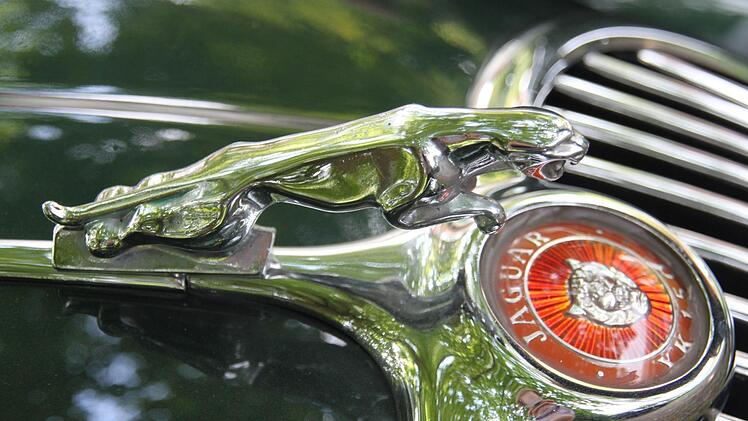 An der Raubkatze, dem legendärem Emblem, erkennt man einen Jaguar sofort. Foto: Stephan Stöckel.