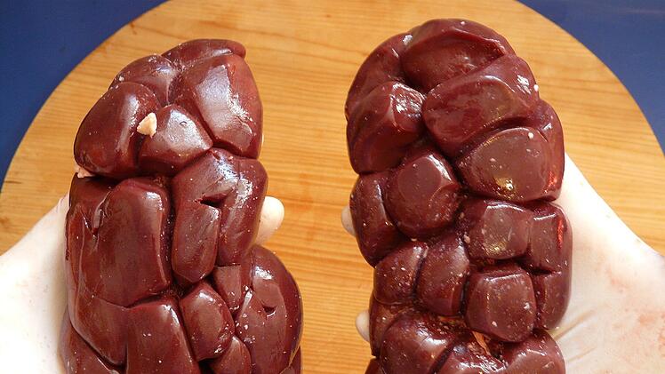 Platz 3 belegen Devilled Kindeys