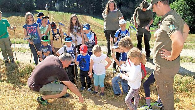 Man muss schon genau hinschauen, um die Spur eines Rehs zu entdecken.  Foto: Gerda Völk