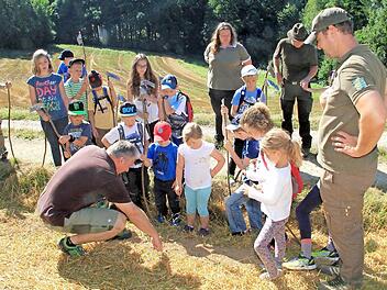 Man muss schon genau hinschauen, um die Spur eines Rehs zu entdecken.  Foto: Gerda V&ouml;lk