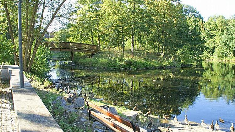 Ein idyllisches Plätzchen ist der Weiher im Rathauspark in Tretzendorf. Leider ist die Weiherinsel seit zwei Jahren zu Fuß nicht mehr erreichbar, der Bauausschuss beschloss jedoch am Donnerstag, die marode Holzbrücke zu erneuern.  Fotos: privat