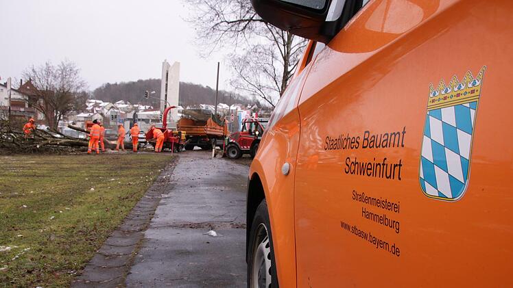 Mitarbeiter des Staatlichen Bauamtes fällen Bäume auf dem Bolzplatz an der Garitzer Kreuzung. Die Arbeiten sind Vorbereitungen für den Garitzer Kreisel. Foto: Benedikt Borst
